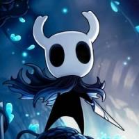 Hollowknight