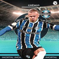 HaalandNoGremio